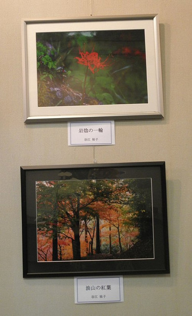 Photo_2 Photo_2