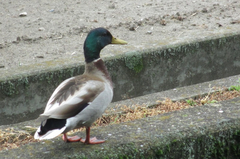Photo_18 Photo_18